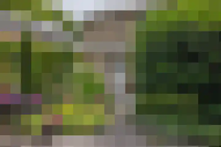 Nijebuorren 41 Harkema thumbnail 38