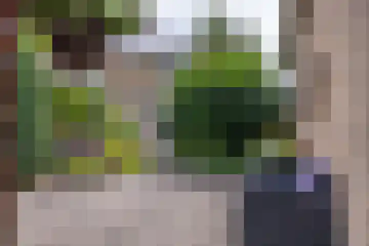 Nijebuorren 41 Harkema thumbnail 39