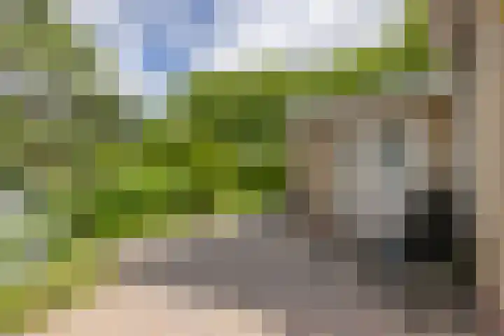 Nijebuorren 41 Harkema thumbnail 41