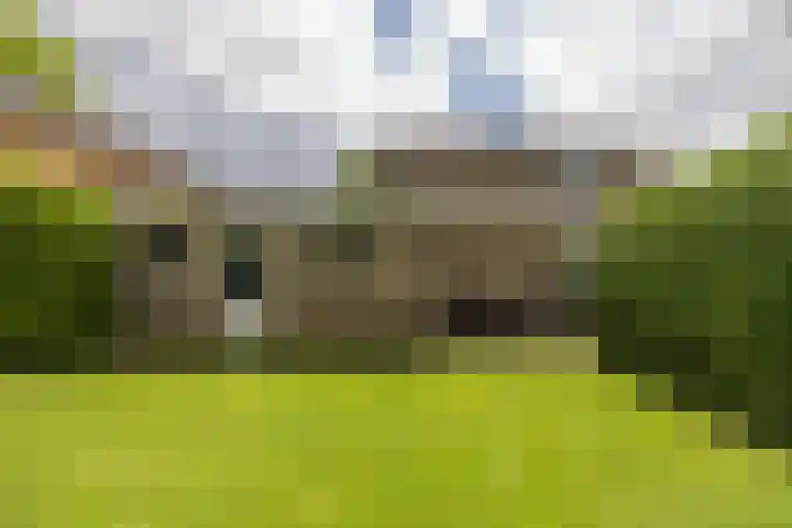 Nijebuorren 41 Harkema thumbnail 43