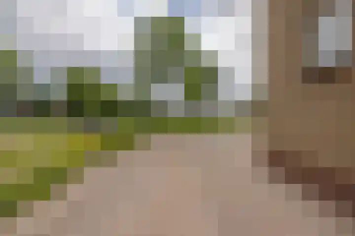 Nijebuorren 41 Harkema thumbnail 44