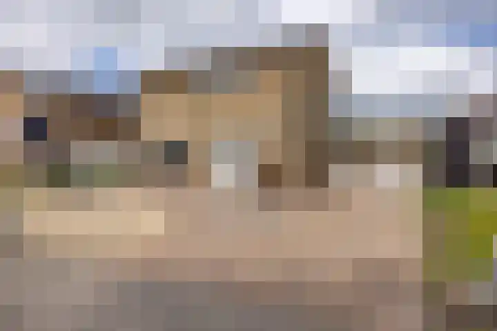 Nijebuorren 41 Harkema thumbnail 46