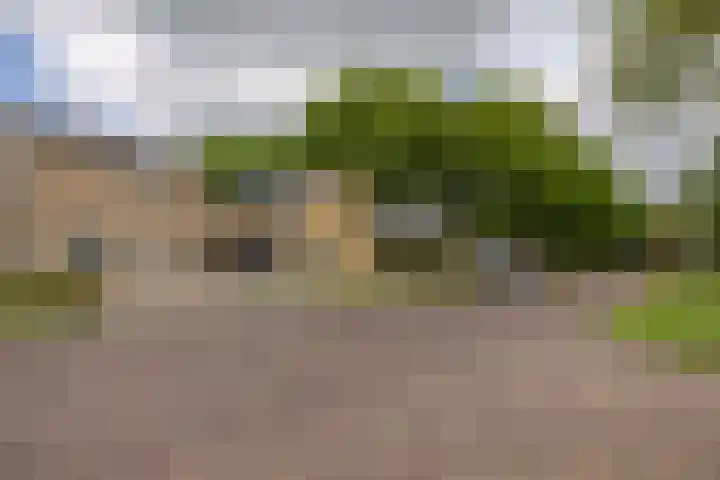 Nijebuorren 41 Harkema thumbnail 48