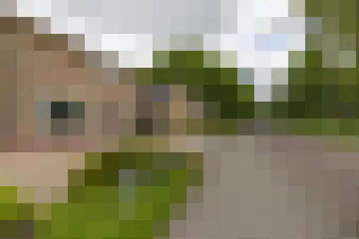 Nijebuorren 41 Harkema thumbnail 49