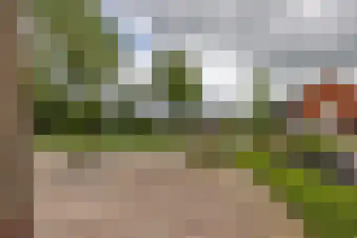 Nijebuorren 41 Harkema thumbnail 51