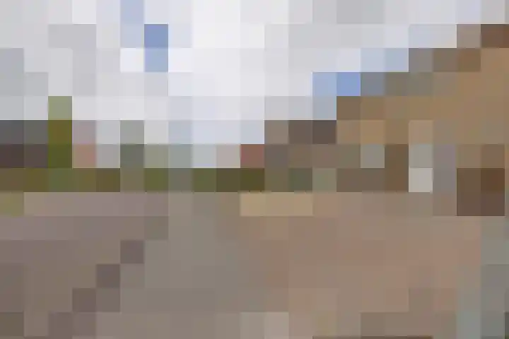 Nijebuorren 41 Harkema thumbnail 52
