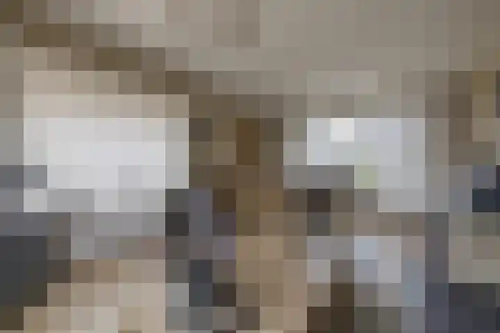 Nijebuorren 41 Harkema thumbnail 8
