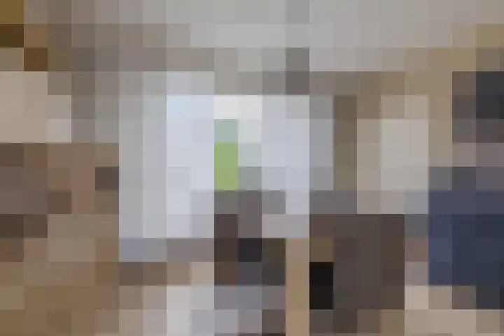 Nijebuorren 41 Harkema thumbnail 9