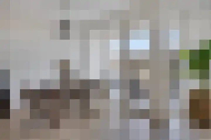 Nijebuorren 46 Harkema thumbnail 10