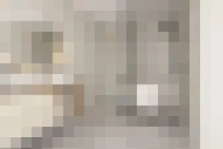 Nijebuorren 46 Harkema thumbnail 22