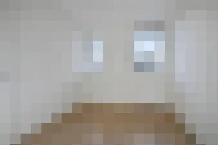Nijebuorren 46 Harkema thumbnail 23