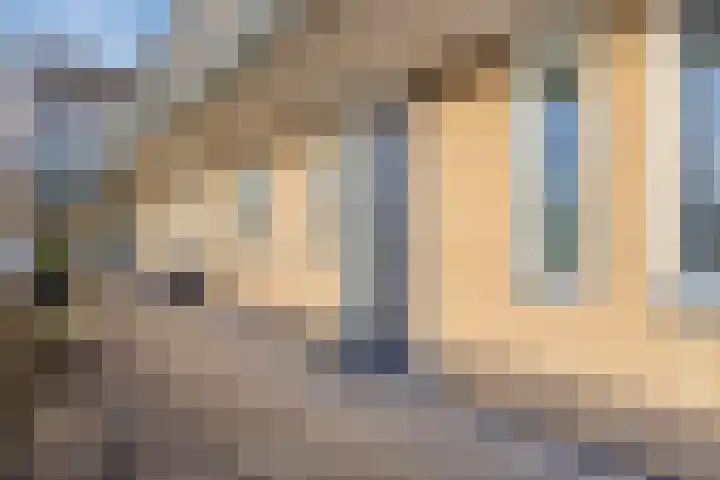 Nijebuorren 46 Harkema thumbnail 26