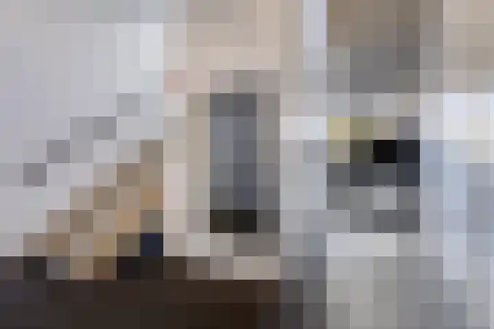 Nijebuorren 46 Harkema thumbnail 28