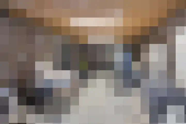 Nijebuorren 46 Harkema thumbnail 30