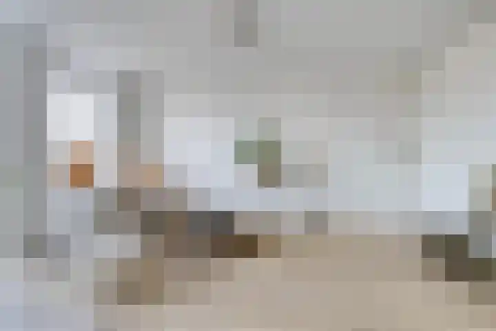 Nijebuorren 46 Harkema thumbnail 6