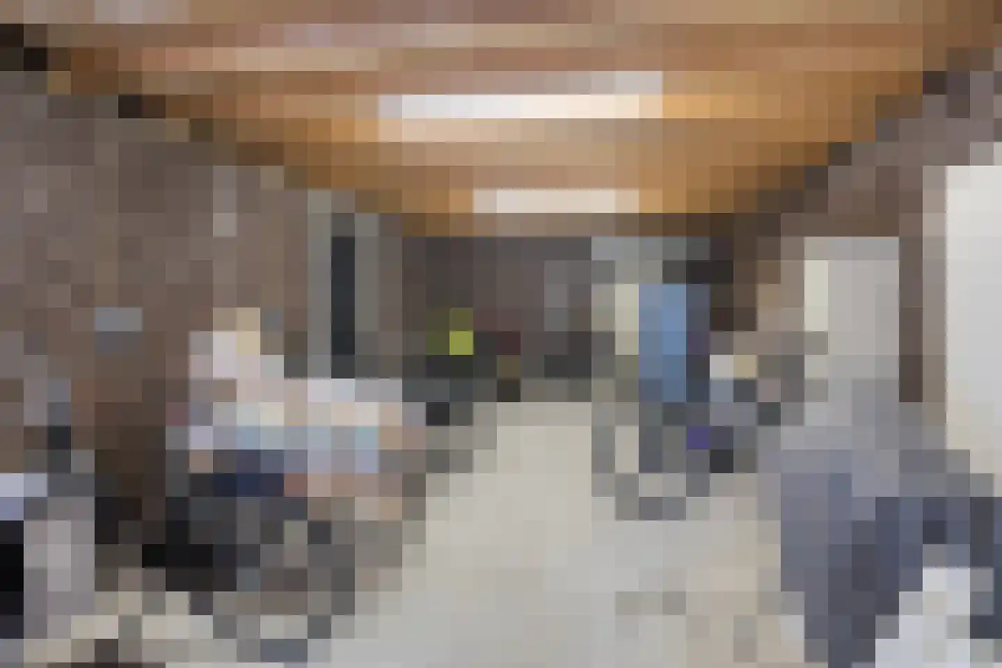 Nijebuorren 58 Harkema thumbnail 30
