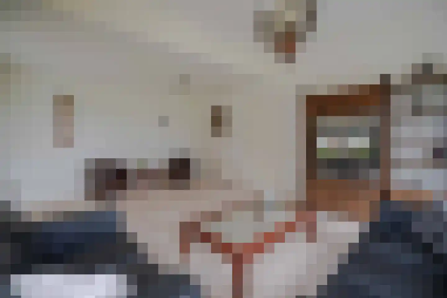 Nijeleane 1 Heerenveen thumbnail 12