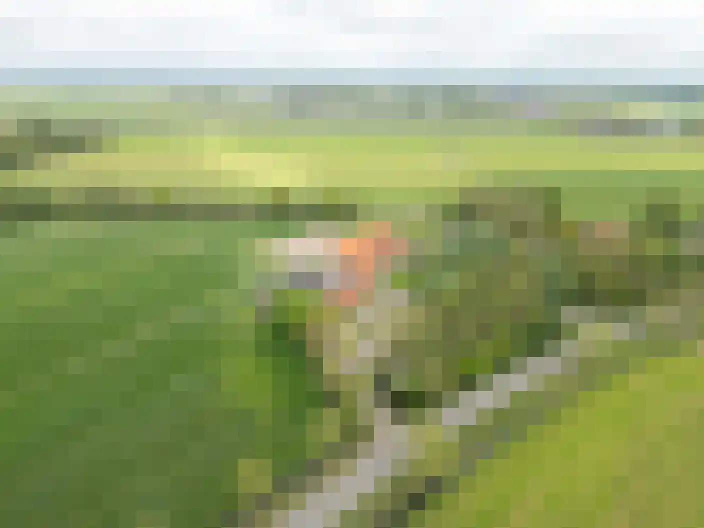 Nijeleane 1 Heerenveen thumbnail 52