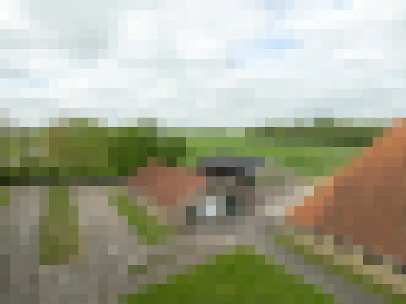 Nijeleane 1 Heerenveen thumbnail 55