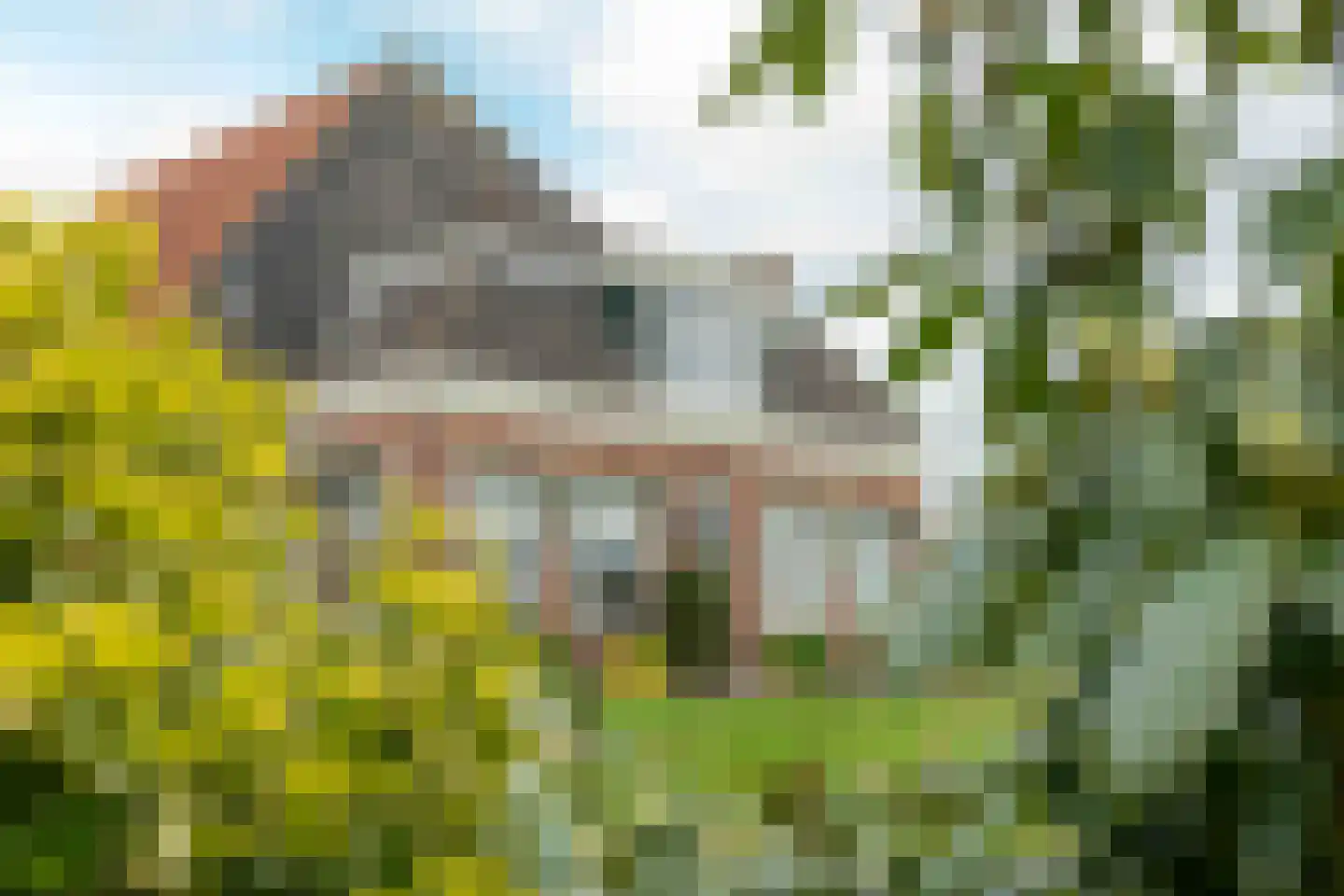 Nijeleane 1 Heerenveen thumbnail 60
