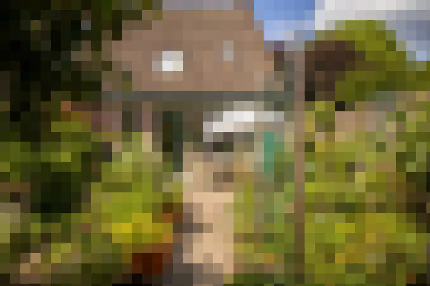 Nijenbeek 1 Ede thumbnail 35