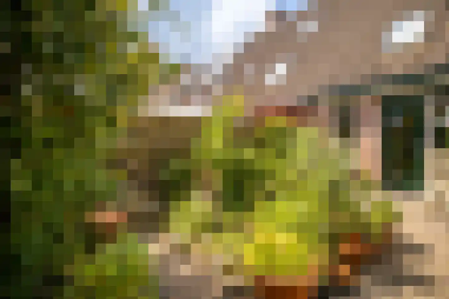 Nijenbeek 1 Ede thumbnail 36