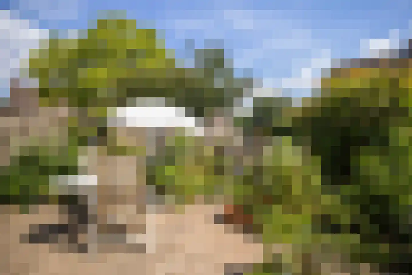 Nijenbeek 1 Ede thumbnail 38