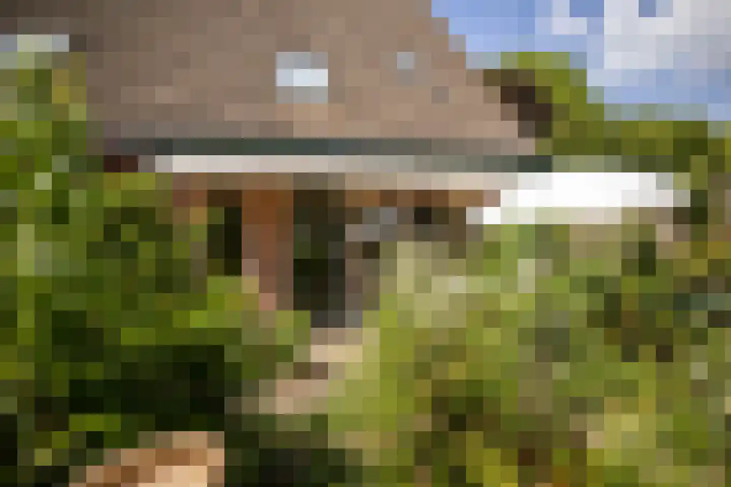 Nijenbeek 1 Ede thumbnail 4