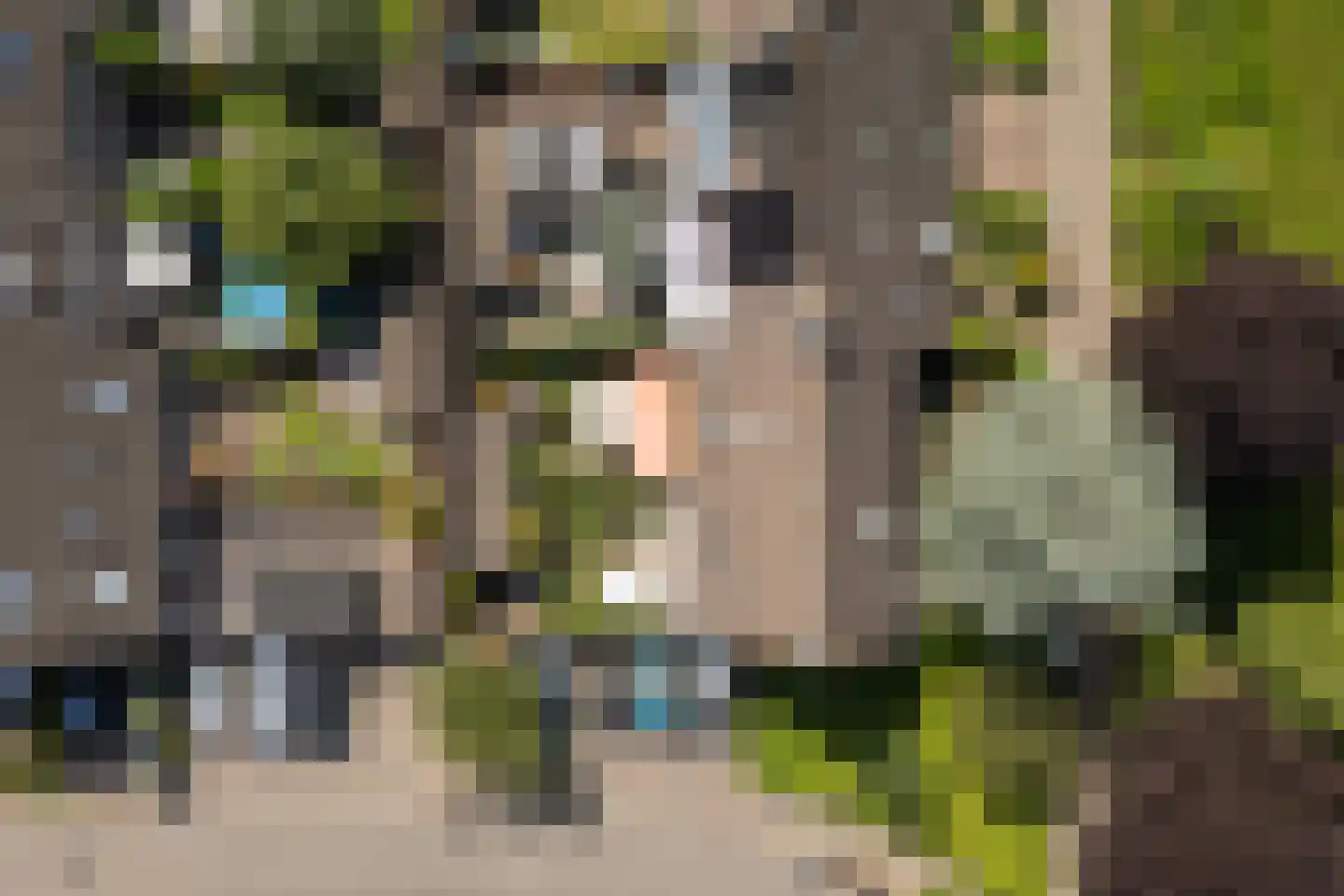 Nijenbeek 1 Ede thumbnail 43