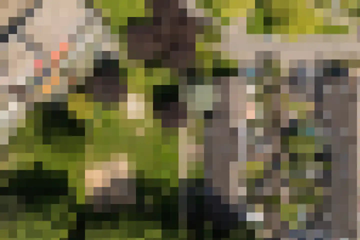 Nijenbeek 1 Ede thumbnail 44