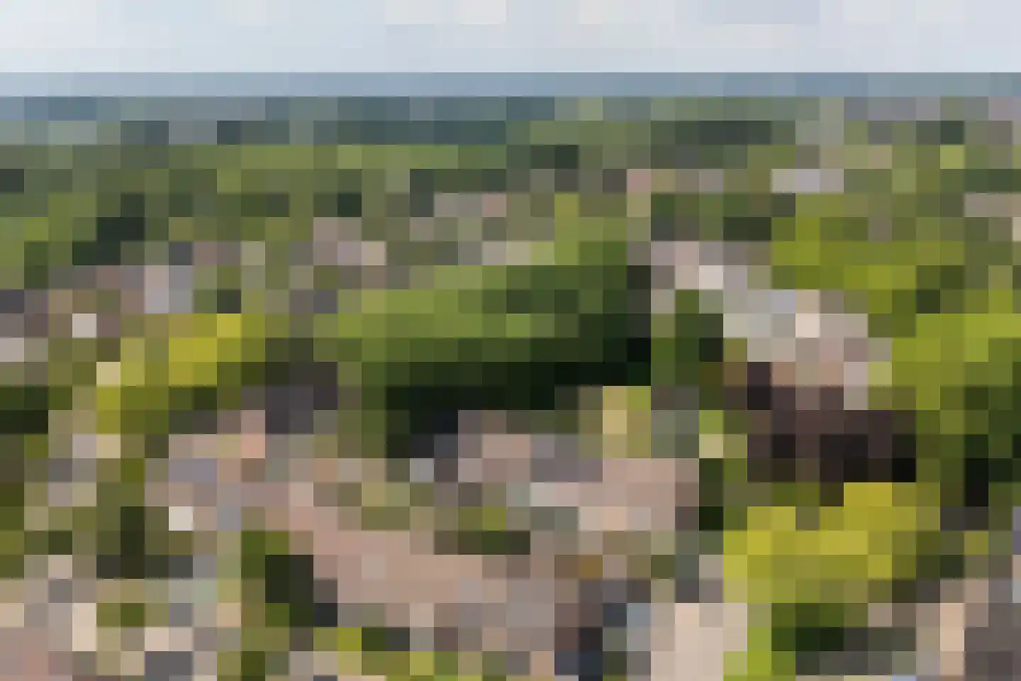 Nijenbeek 1 Ede thumbnail 46