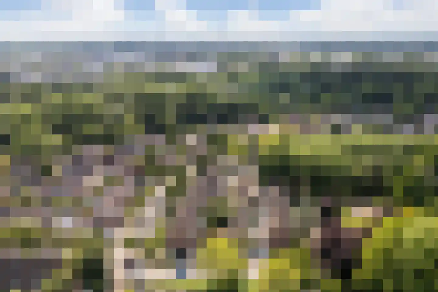 Nijenbeek 1 Ede thumbnail 48