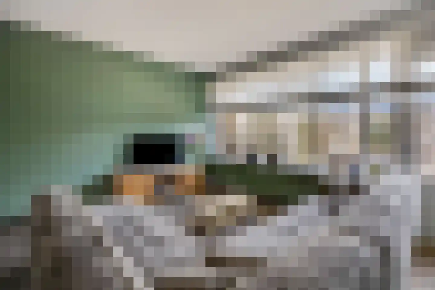 Nijenbeek 28 Barneveld thumbnail 20