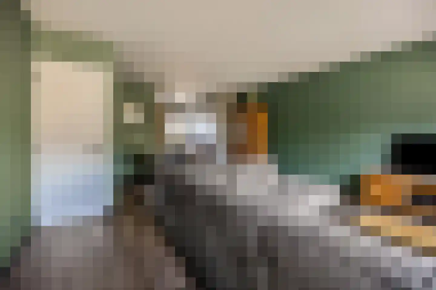 Nijenbeek 28 Barneveld thumbnail 22