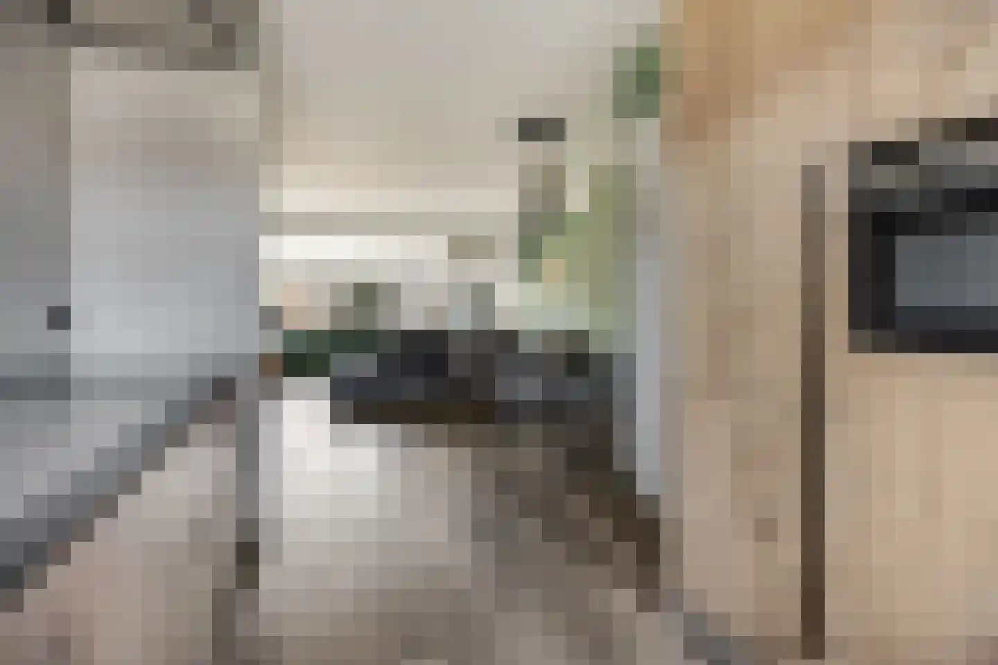 Nijenbeek 28 Barneveld thumbnail 30