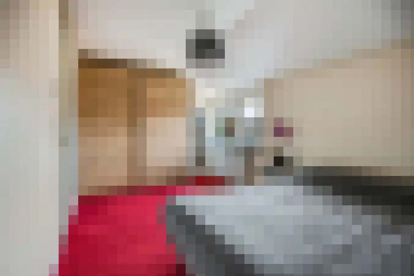 Nijenbeek 28 Barneveld thumbnail 36