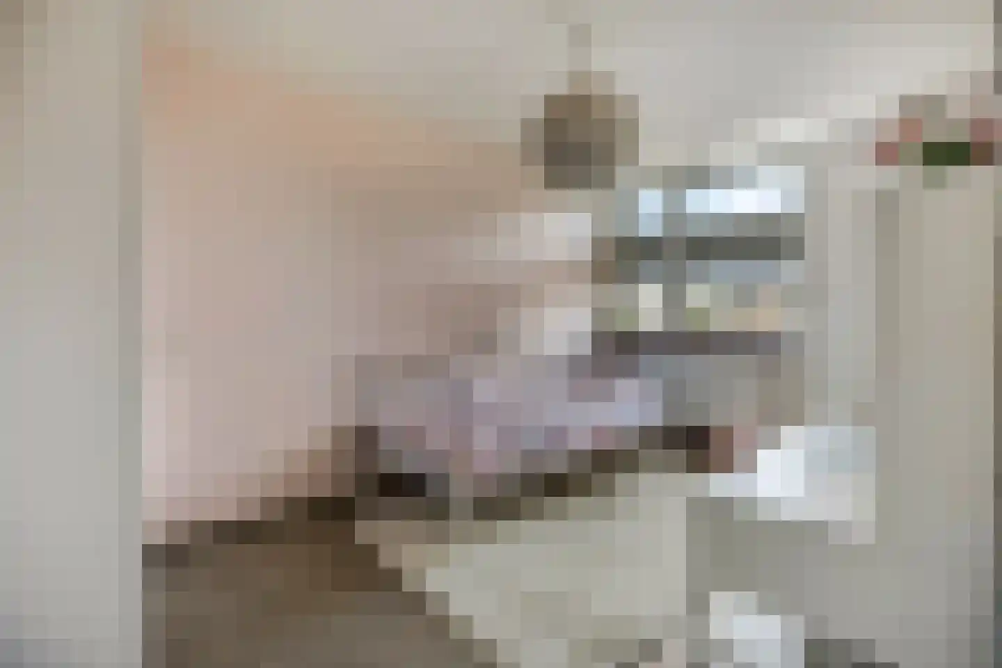 Nijenbeek 28 Barneveld thumbnail 37