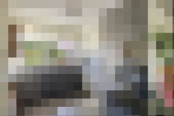 Nijenbeek 5 Barneveld thumbnail 10