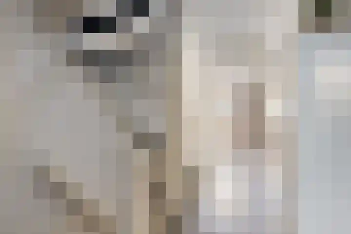 Nijenbeek 5 Barneveld thumbnail 13