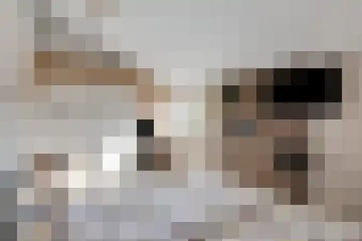 Nijenbeek 5 Barneveld thumbnail 14