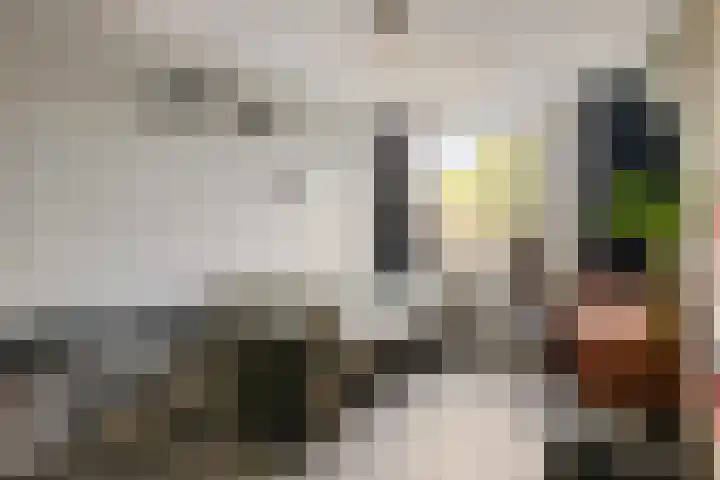 Nijenbeek 5 Barneveld thumbnail 19