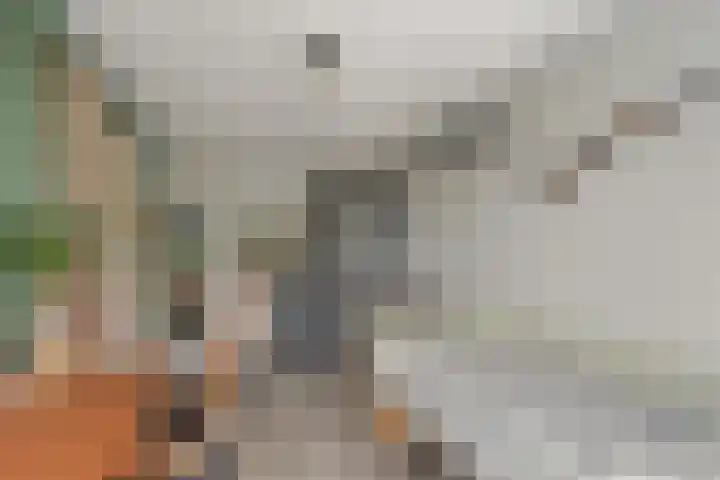 Nijenbeek 5 Barneveld thumbnail 20