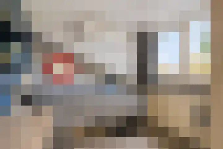Nijenbeek 5 Barneveld thumbnail 24