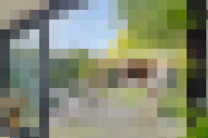 Nijenbeek 5 Barneveld thumbnail 25