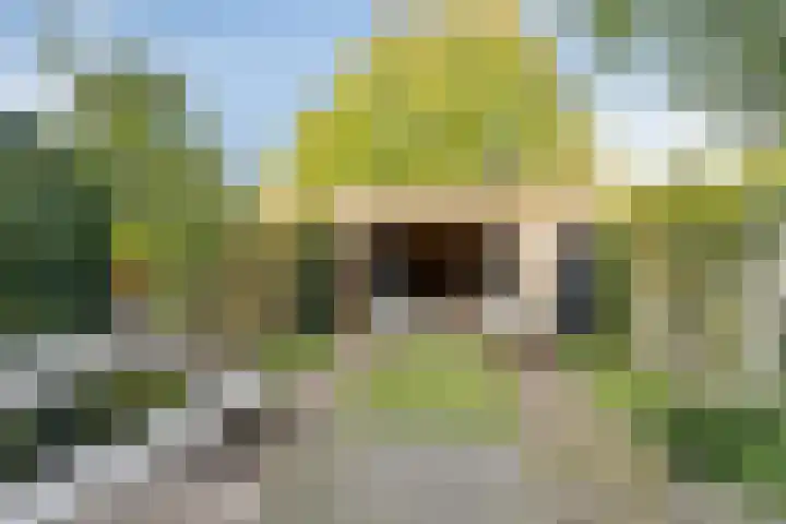 Nijenbeek 5 Barneveld thumbnail 26
