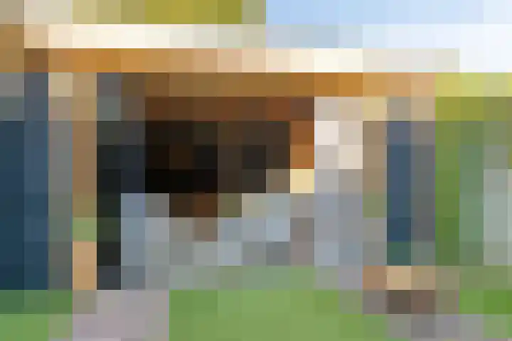 Nijenbeek 5 Barneveld thumbnail 27