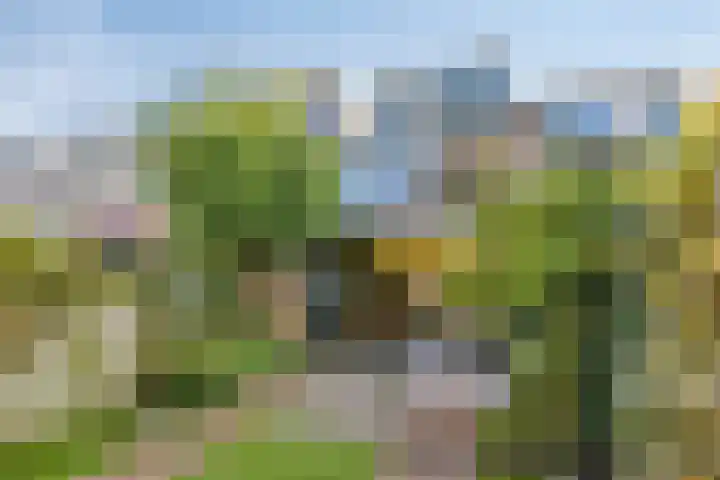 Nijenbeek 5 Barneveld thumbnail 30