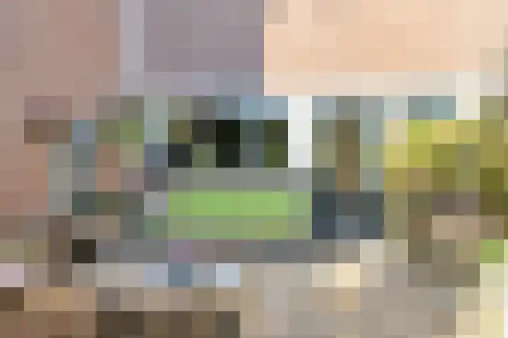 Nijenbeek 5 Barneveld thumbnail 32