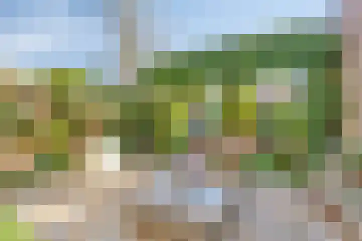 Nijenbeek 5 Barneveld thumbnail 33