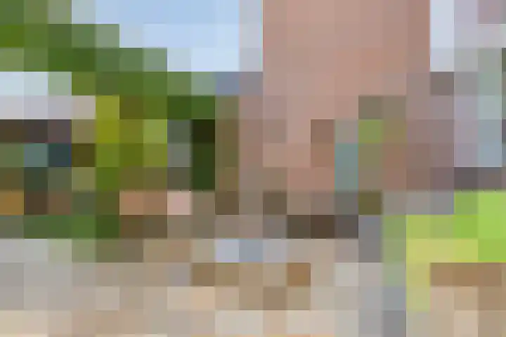 Nijenbeek 5 Barneveld thumbnail 34